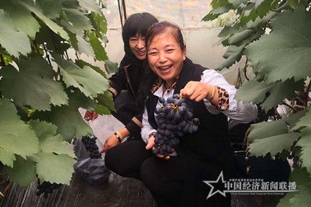 微信图片_20200926090716.jpg