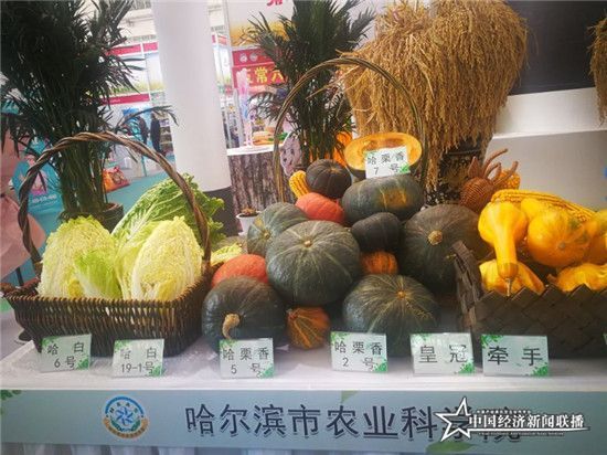 f3eb1a9b9ef5b649f7152e1557b3980_副本.jpg