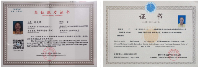 3 付成琴：针人合一是针灸的最高境界.png