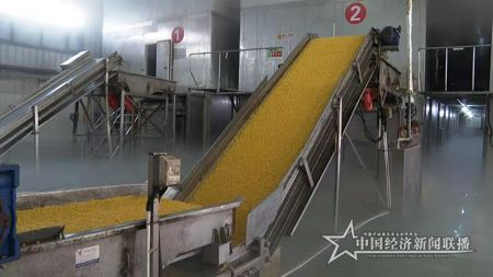 14，2.jpg