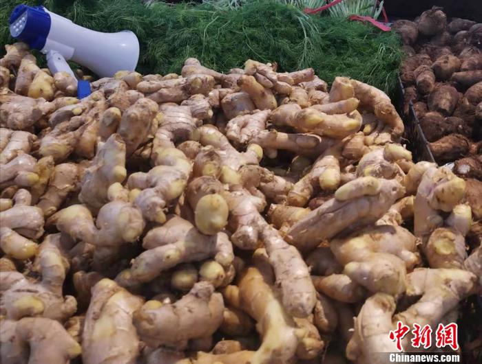 图为北京西城区一家超市内的生姜。 a target='_blank' href='http://www.chinanews.com/' 中新网/a记者 谢艺观 摄 图为北京西城区一家超市内的生姜。 a target='_blank' href='http://www.chinanews.com/' 中新网/a记者 谢艺观 摄