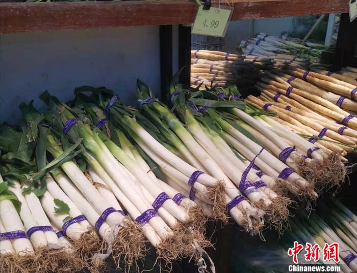 图为北京西城区一家超市内售卖的大葱。 谢艺观 摄 图为北京西城区一家超市内售卖的大葱。 谢艺观 摄