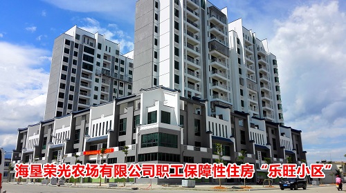广告7.jpg