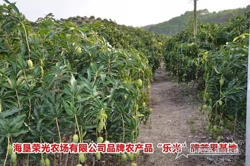微信图片_202012201511102.jpg