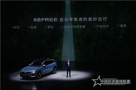 岚图汽车CEO卢放02_副本.jpg