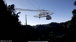 55555.gif