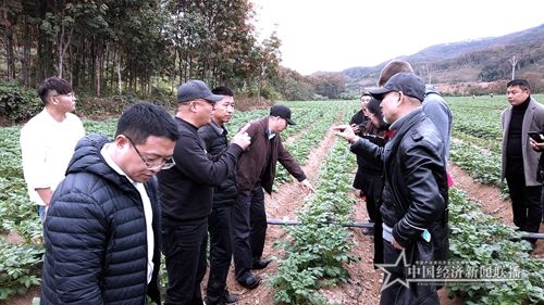 微信图片_20210117131017_副本.jpg