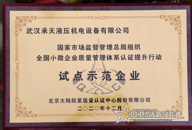 王总奖牌.jpg