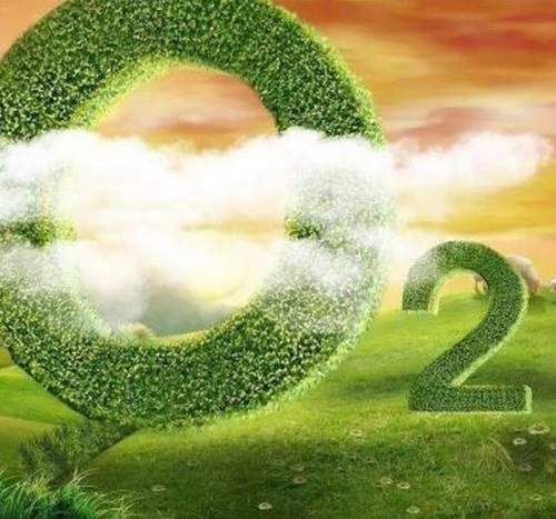 3 - 副本.jpg