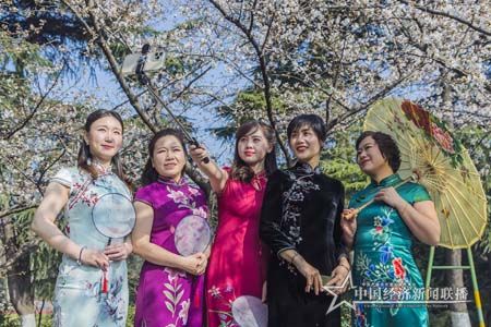 樱花1.jpg