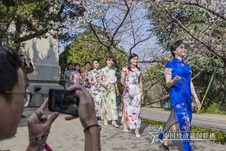 樱花2.jpg