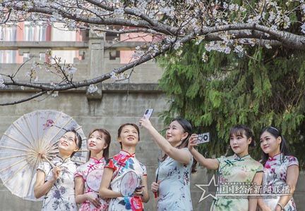 樱花3.jpg
