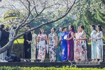 樱花5.jpg