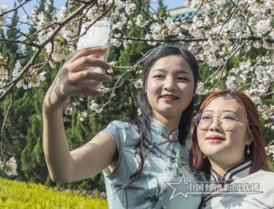 樱花7.jpg