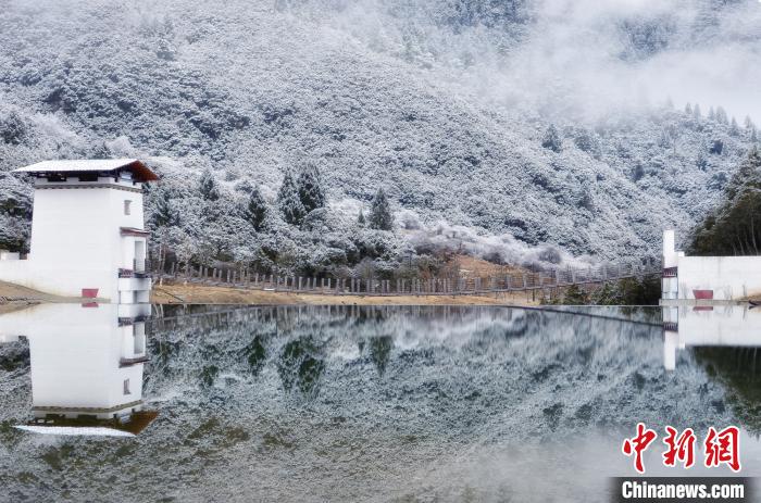 图为鲁朗雪景。资料图。鲁朗景区管委会供图