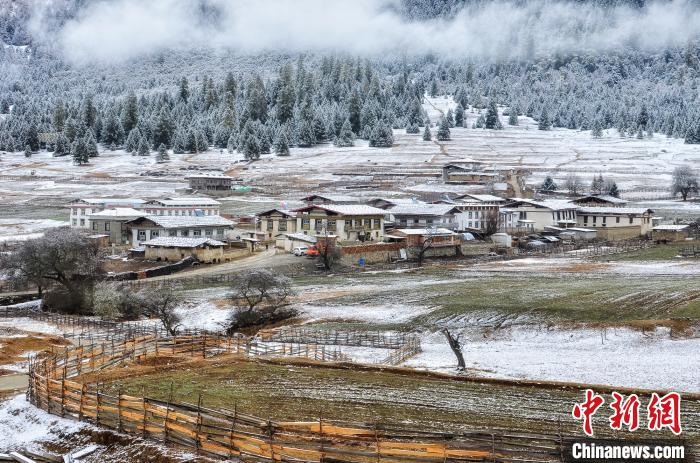 图为鲁朗雪景。资料图。鲁朗景区管委会供图