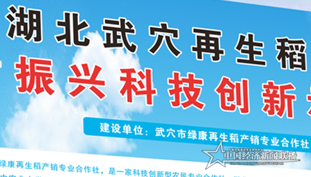 图片1_副本.png