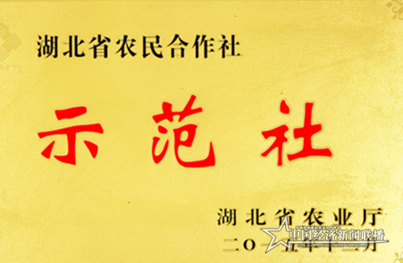 图片8_副本.png