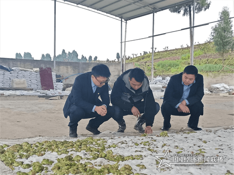 微信图片_20210318160051.png