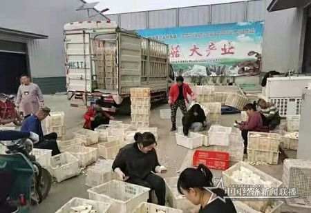 微信图片_20210325104802.jpg