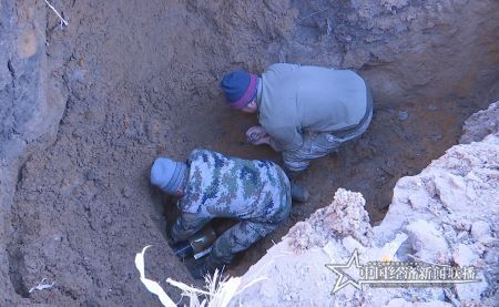 31.6.jpg