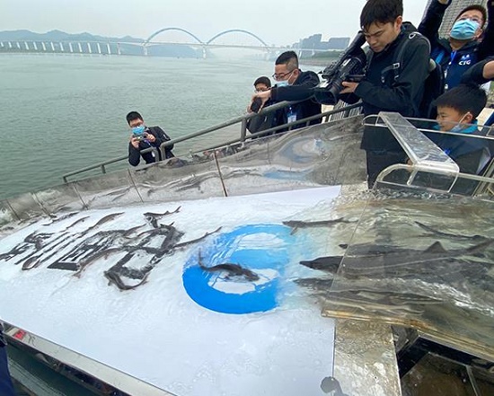 360截图20200317093902286.jpg