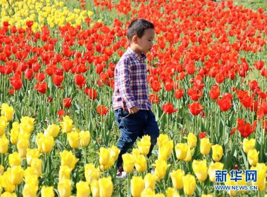 360截图20200327150133454.jpg