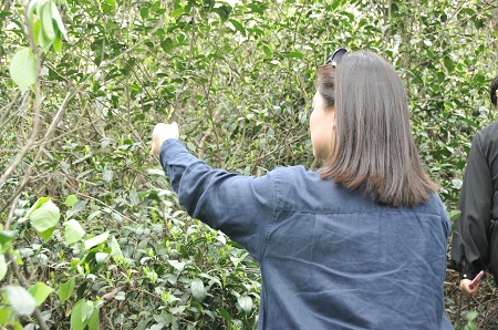DSC_8884.JPG