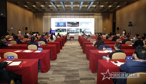 海口市未来产业园区代表潘海英进行推介.jpg