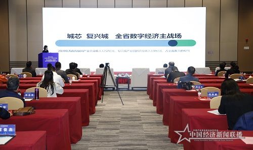 海口市复兴城产业园区代表阮荟媛进行推介.jpg