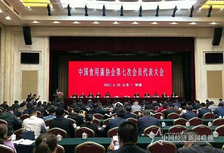 微信图片_20210501060318.jpg
