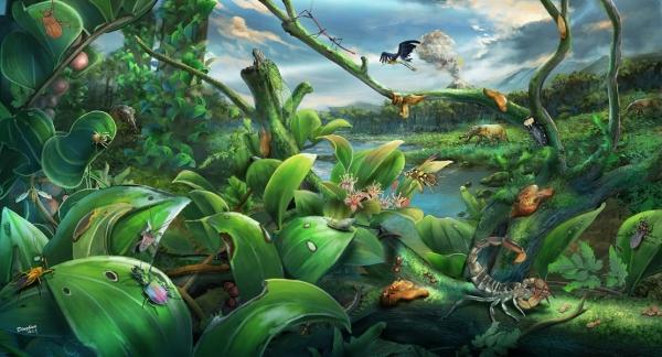 漳浦生物群生态复原图。中国科学院南京地质古生物研究所 供图 南古所 供图 摄 漳浦生物群生态复原图。中国科学院南京地质古生物研究所 供图 南古所 供图 摄