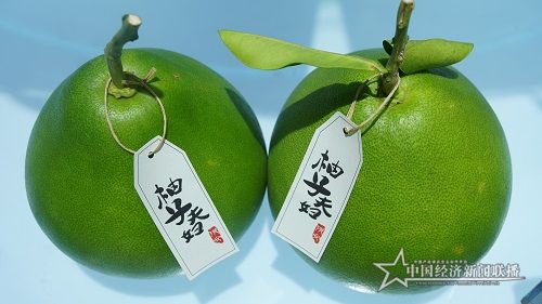 微信图片_20210510155757.jpg