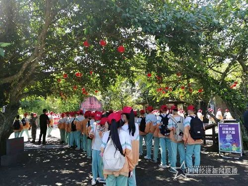 图片7.jpg