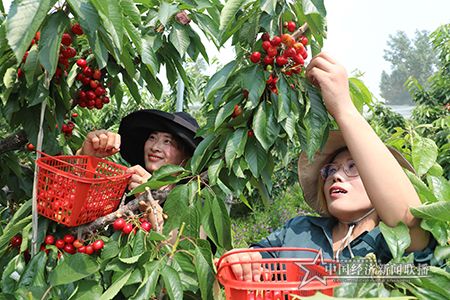 EM4A6238_看图王.jpg