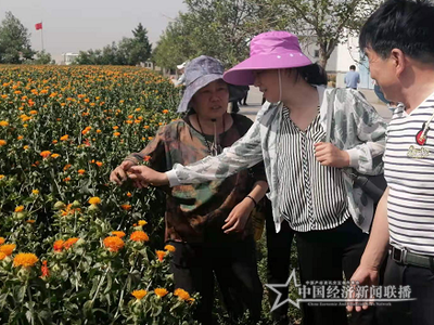 微信图片_20210531100607 (1).png