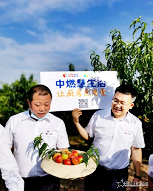 97.jpg