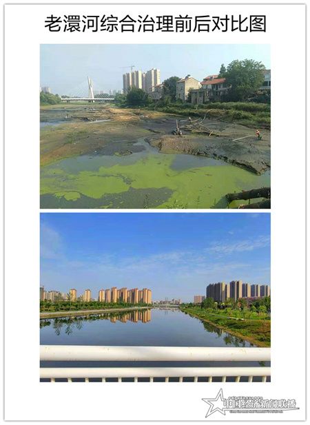综述稿2.jpg