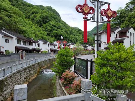 综述稿11.jpg