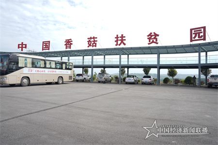 综述稿19.jpg