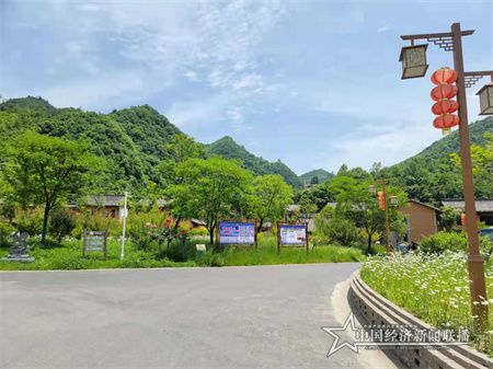 综述稿23.jpg