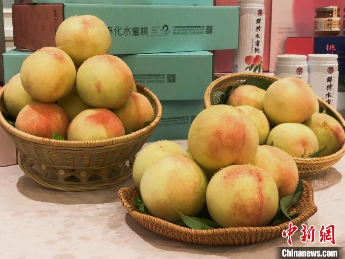 奉化水蜜桃。林波 摄 奉化水蜜桃。林波 摄