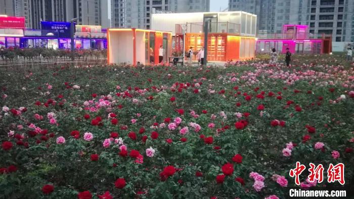 游园会现场。沈阳市和平区供图