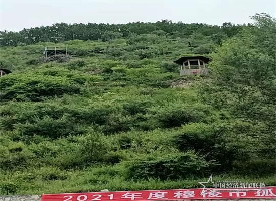抗联密营遗址.jpg