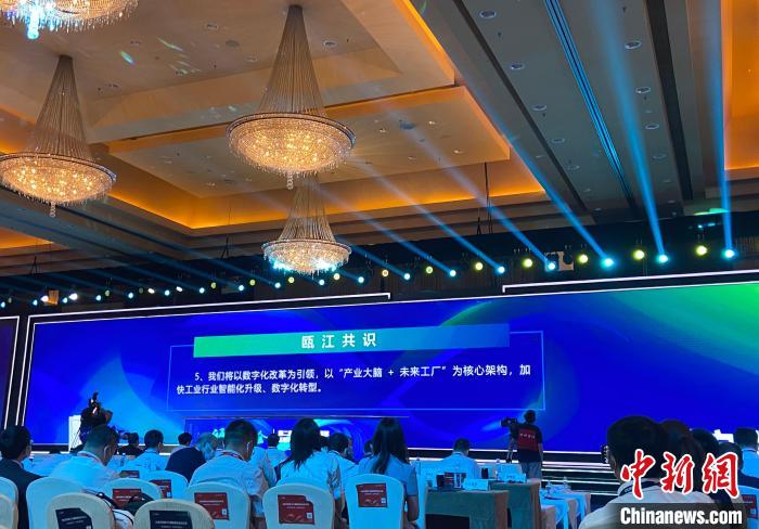 “瓯江共识”发布现场。黄慧 摄