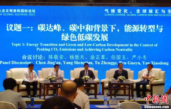 图为论坛现场 a target='_blank' href='http://www.chinanews.com/' 中新网/a 郎朗 摄