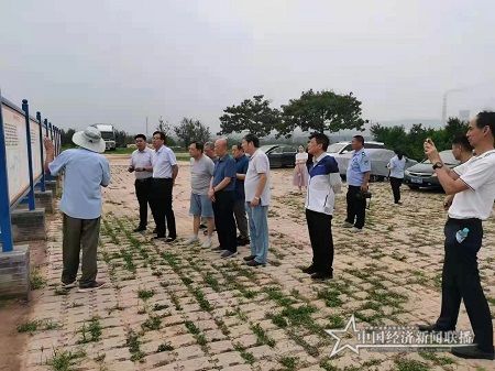 双槐树3.jpg