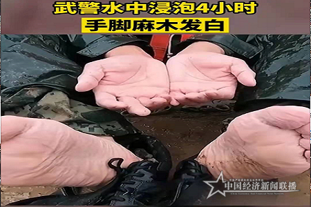 4d1403f39820666fc8c1f6f9705ddd5.png