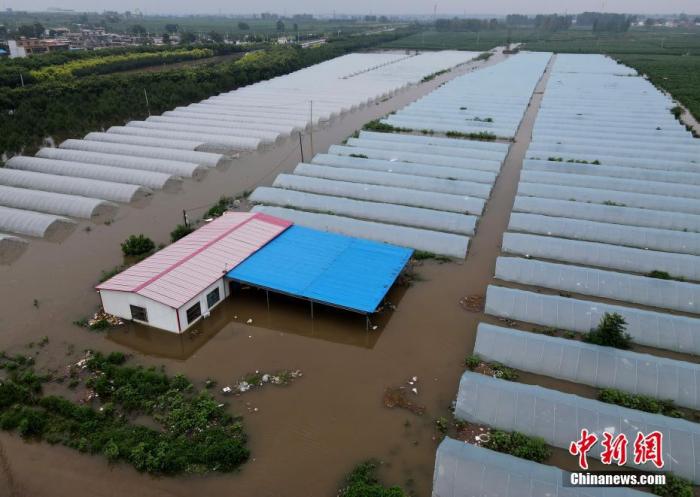 资料图：被淹的大棚。 a target='_blank' href='http://www.chinanews.com/'中新社/a记者 邹浩 摄  