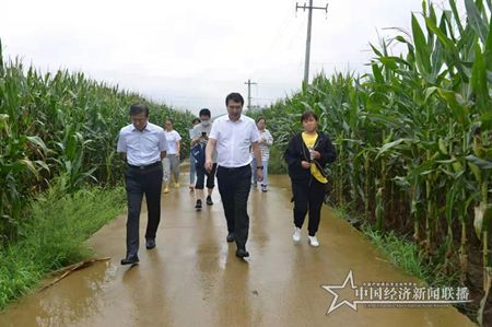 微信图片_202108131324471.jpg